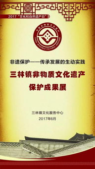 三林非遺保護 傳承與發展的生動實踐